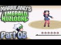 Pokemon Emerald Nuzlocke, Part 05: Rockin Roxanne!