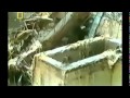 Чернобыль