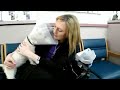 Blind dog rescue: Fiona - Please SHARE on FB & Twitter and help us raise awareness. Thanks!
