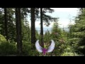 Meet The Angels Guided Meditation. Magic Video
