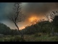 YouTube видео
