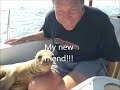 My Life Changing Experience with a Baby Sea Lion