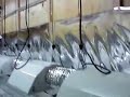 New Grow Room Build 12,000W