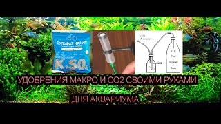 Как своими руками сделать удобрения для аквариумных растений Как своими руками сделать удобрения для аквариумных растений
