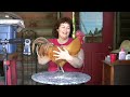 Becky's Homestead 25: All About Chickens