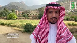 ليالي رمضانية - منطقة الشفا - الطائف - تقرير أحمد الدعاك