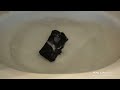 Lifeproof iPhone 5s Case Review