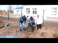 В Краснокамском районе высадили тысячу деревьев