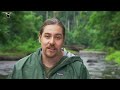 Birds-of-Paradise Project Introduction