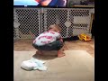 Funny dancing baby - Gettin Jiggy with it - Will Smith