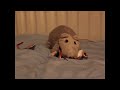 Gossig Ratta.wmv