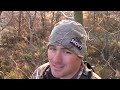 Michigan Deer Hunting: The Prerut is Picking Up