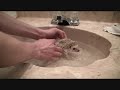 How to give your hedgehog a bath