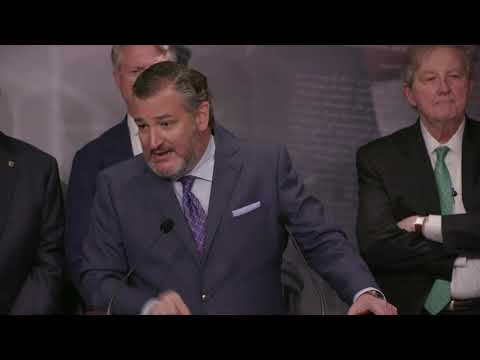 Senator Cruz DESTROYS Chuck Schumer Over Alejandro Mayorkas Impeachment