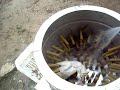 Αποπτιλωτήρας/www.kotes.eu /Ξεπουπουλιασμα /Spiumatrice/ Plucker machine