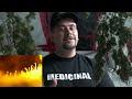 Drying Cannabis as Basic as It Gets!