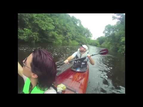 Kayak