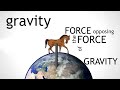 Balanced and Unbalanced Forces | Forces and Motion | the virtual school