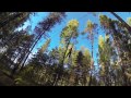 Прыжки с дерева 24 августа 2013 о12)
