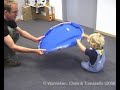 Experiments with altruism in children and chimps