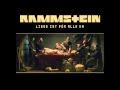 Rammstein - Ich tu dir weh (HQ)