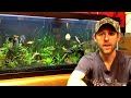 Taking care of algae in the planted tank