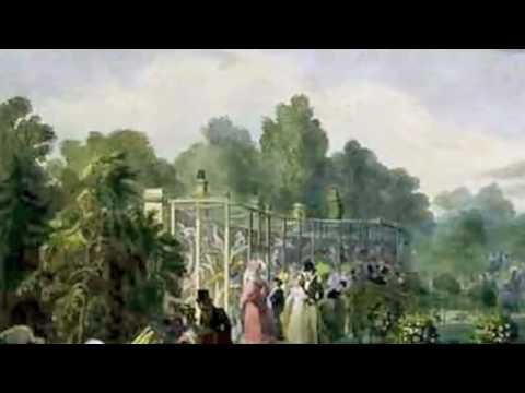 動物狂歡節-《鳥》Saint Saens: Carnival of the Animals~Volieres (Aviary) - YouTube