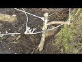 How to build a tripwire snare trap