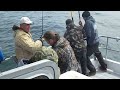 Halibut Fishing Seward Alaska with Puffin Charters June 2012 big fish #1 video