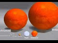 Largest Stars this side of the Milky Way