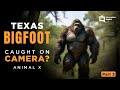 Part 3 Texas Bigfoot - Animal X Natural Mystery Unit