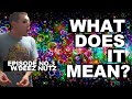 Deez Nuts - What Does It Mean? Ep.03