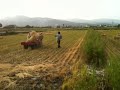 【行健有機村】爬山虎vs乾稻草