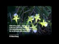 CANH HOA TRANG -Hoa Tau Piano -Tho Pt MINH HUNG -BP