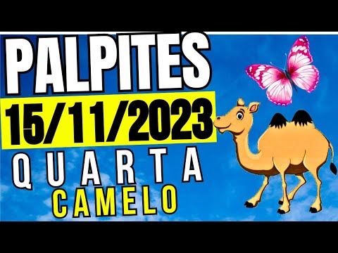 Palpite dia 15/11/2023 - JOGO DO BICHO TODAS AS LOTERIAS 