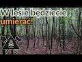 Nie uciekaj DO LASU!