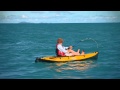 Shark vs Inflatable Torres Strait Whaler Shark Fishing Australia 2011 