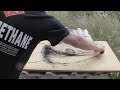 How to Make a Bird Trap - that actually works!!
