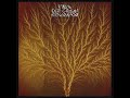 Van Der Graaf Generator - Pilgrims