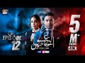 Aye Ishq e Junoon Episode 12  Ushna Shah  Sheheryar Munawar  17 Dec 2024  ARY Digital