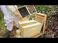 Beekeeping for Beginners - Adding Bees