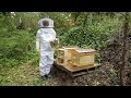 Beekeeping for Beginners - Adding Bees