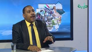 الحركات المسلحة تنتج واقعا غير الذي حدده سلام جوبا - حسن اسماعيل | المشهد السوداني
