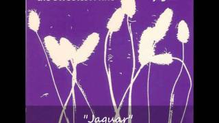 アナログ盤　the Sweetest Ache / Jaguar Jaguar | The Sweetest Ache