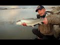 Fishing with Rod: Best of 2011