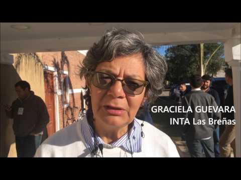 Las recomendaciones para el control de malezas, Graciela Guevara.
