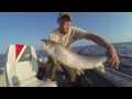 Muntz Angling: The Deepglowing Inkfish Lure for Lake Trout