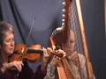 Daily Harp Moments-Pachelbel's Canon