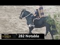 Remate de Caballos Chilenos Criadero La Espuelita