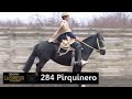 Remate de Caballos Chilenos Criadero La Espuelita